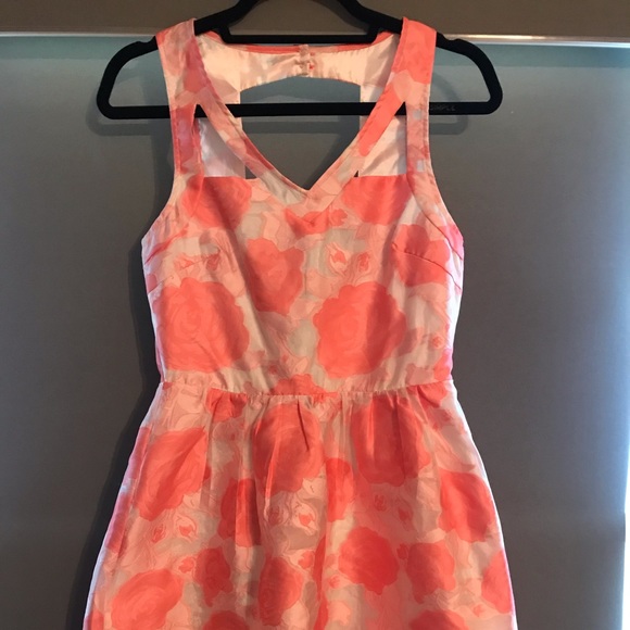 Lush Floral Dress - Picture 1 of 6